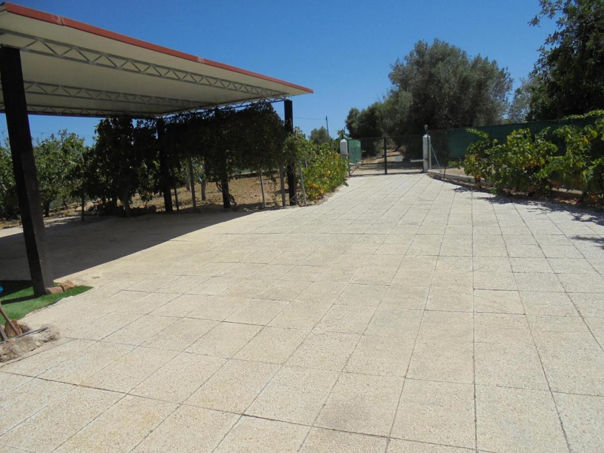 Silence Of The Birds Villa Olhão Exterior photo